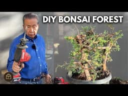 The Making of a Giant Juniper Bonsai Forest (Part 5)