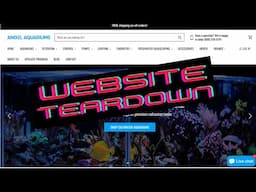 Dropship Website Teardown - Angel Aquariums