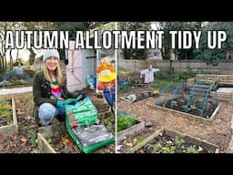 AUTUMN TIDY UP AT THE ALLOTMENT / ALLOTMENT GARDENING UK