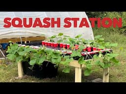 The Squash Station