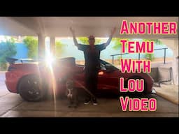 Another Temu with Lou video