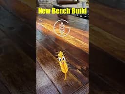 New Bench Build