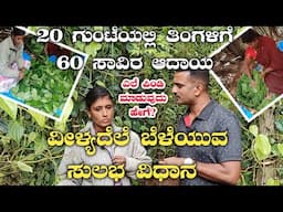 ವೀಳ್ಯದೆಲೆ ಬೆಳೆಯುವ ಸುಲಭ ವಿಧಾನ|Betel farming in kannada|Betel farm kannada|betel plant farm|vilyadele