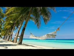 Positive Beach Bossa Nova Jazz Music 2025 for Stress Relief