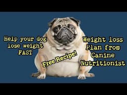 Weight Loss Plan for your dog from Canine Nutritionist