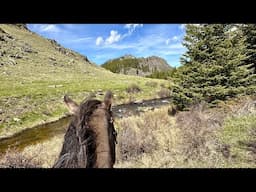 A Relaxing Day In the Saddle