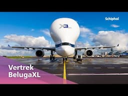 Beluga XL vertrekt vanaf Schiphol 🐳