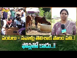 Organic Farming Challenges | పంటలు - సవాళ్లు తెలిశాకే పొలం పని..! Organic Mandya | Tone Agri