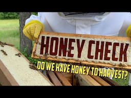 Honey Check, Do we have honey to harvest?