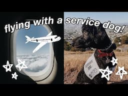 FLYING WITH A SERVICE DOG! :)