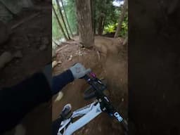 The Greatest Bike Park for a reason!