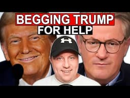 MSNBC Ratings BEATEN by CNN as MSNBC BEGGING Trump for HELP