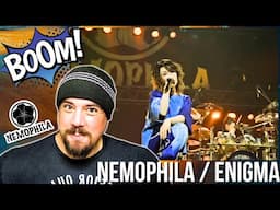 LOVING THE RIFF! │ NEMOPHILA / ENIGMA@日本武道館  (Official Live Video)