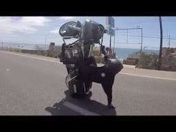 AMAZING Harley Davidson Bagger WHEELIES On Highway H-D DRIFTING Harley STUNTS WHEELIE DRIFT Video