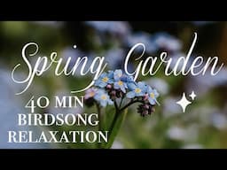 English Garden in Spring 🌿 40 MIN RELAXING BIRDSONG SOUNDSCAPE, SOOTHING BACKGROUND NOISE