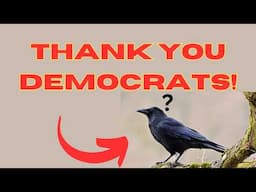 Thank You Democrats!