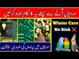 Birds Winter Care Tips in Urdu / Hindi (Australian Parrots, Love Birds, Finch) by |Arham| Video. 506