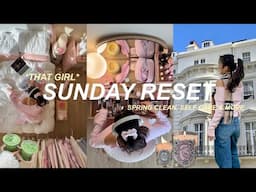 ✨ SUNDAY RESET ROUTINE ✨ everything shower, spring clean, productivity & more