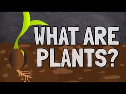 What Are Plants?