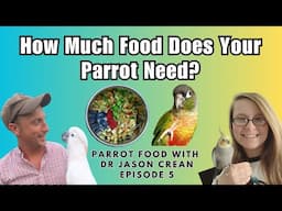 Pet Bird Food Portion Sizes | Parrot Food With Dr Jason Crean Episode 5 | BirdNerdSophie