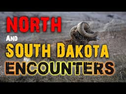 It FOUND Her In The Barn | 3 Absolutely Terrifying Encounters From North and South Dakota