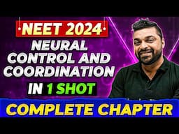 NEURAL CONTROL AND COORDINATION in One Shot | Complete Chapter of Zoology | NEET 2024