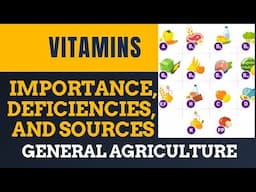 Vitamins: Importance, Deficiencies, and Sources || Vitamin A || Vitamin B1 (Thiamine)