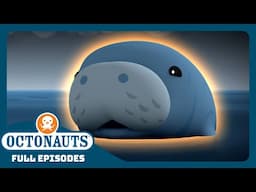 @Octonauts - 🌊 The Manatees 🦭 | Season 2 | Full Episodes | Cartoons for Kids