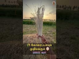 🌾 கோரைப்பாயின் அருமை தெரியுமா? 👴🏻 MudPot Channel