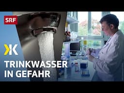 Neuer Pestizid-Grenzwert: Schweizer Trinkwasser zunehmend verunreinigt | 2024 | Kassensturz | SRF