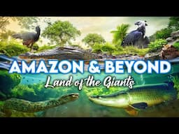 Zoo Tours: Zoo Miami's Amazon & Beyond | PART TWO