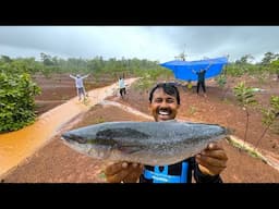 আজ এক নতুন ধরণের মাছ খেলাম | sea fish recipe | Village Cooking Vlog