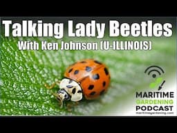 Talking Lady Beetles with Ken Johnson