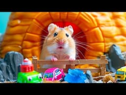 ⚡️ Hamster Great Escape from the Locked Prison Maze 🐹 Hamster Maze