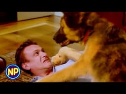 Jason Segel Fights Off a German Shepherd | Sex Tape (2014) | Now Playing