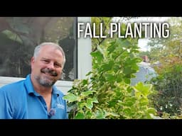 Is Fall for Planting? - 5 Minute Friday