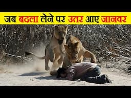 अपना बदला लेकर ही माने ये जानवर | | When Animals Take Revenge