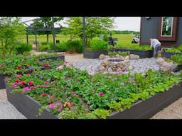 Weekend Gardening, Plant Load from Walter's Gardens & Automatic Watering in Raised Beds