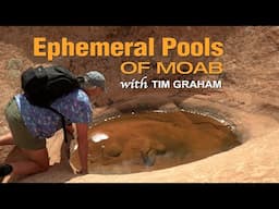 Moab Ephemeral Pools