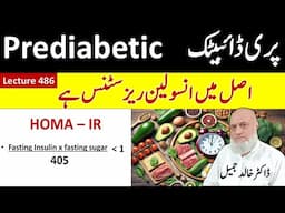 PreDiabetes or Insulin Resistance Treatment – 2024  | Lecture 486