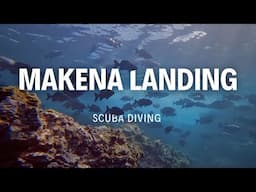 Diving at Makena Landing in South Maui, Hawaii