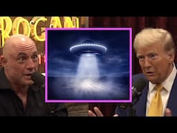 Trump On UFO's! | Joe Rogan & Donald Trump