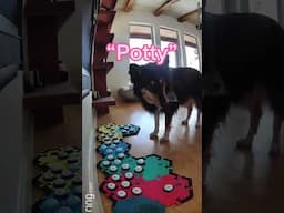 talking dog has to go potty!