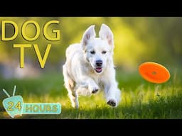 DOG TV: Keep Your Dogs Entertained for Hours While You’re Away - Best Anti-Anxiety Music for Dogs