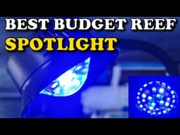 Best BUDGET Nano Reef Spotlight? | hygger 30 Watts Aquarium LED Reef Light Spotlight