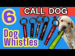 Call Dog , 6 Dog Whistle Sounds To Call Dogs