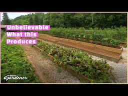 Farming Raised Beds | Volunteer Gardener