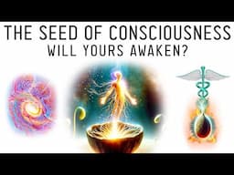 Sexual Alchemy: What Does Your Seed Create?