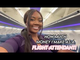 How Much Money Does A Flight Attendant Make? | Flight Attendant Vlog