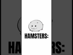 Hamsters